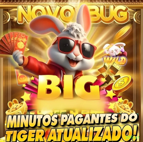 Suporte 255bet